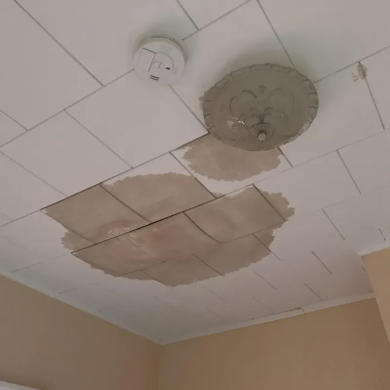 Ceiling Water Damage Repair in Crewe, VA