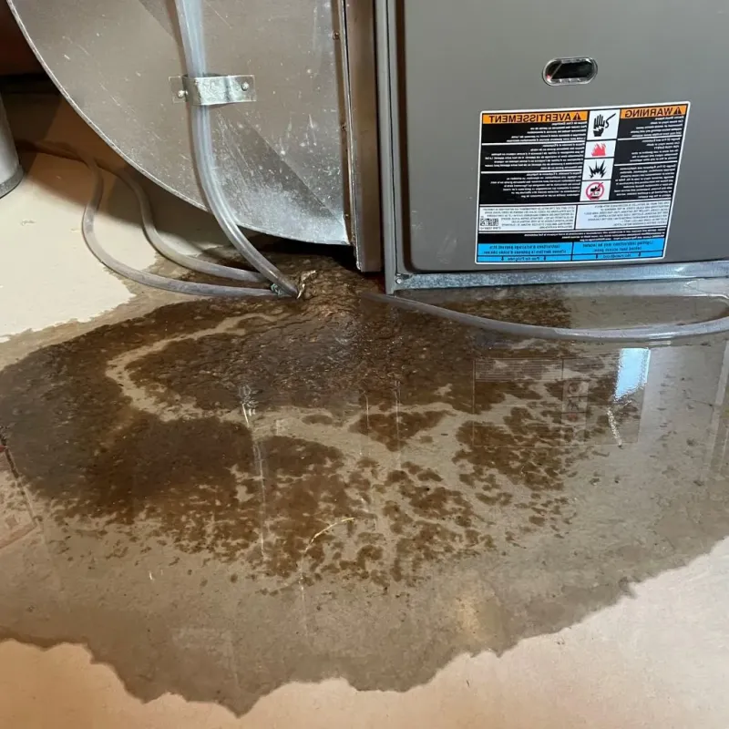 Pipe Burst and Leak Restoration in Crewe, VA