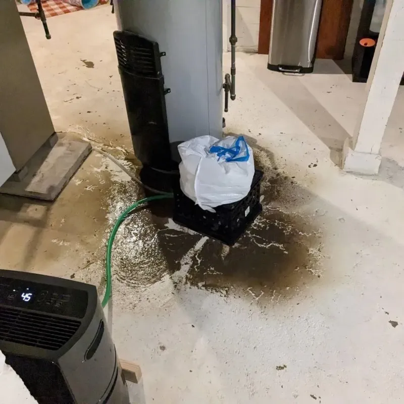Sewage Backup Cleanup Service in Crewe, VA